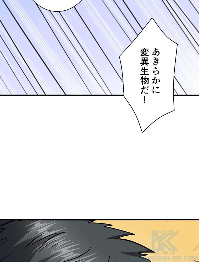 P53