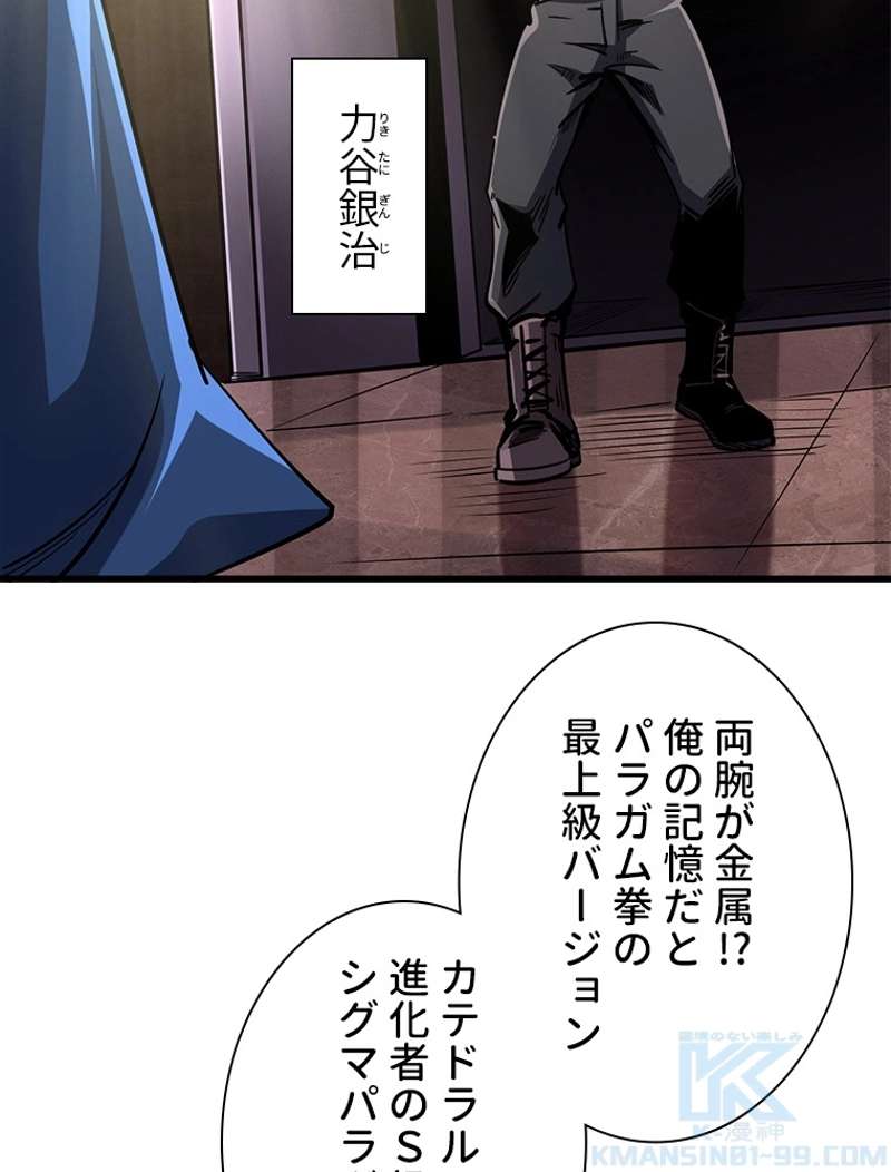 P58