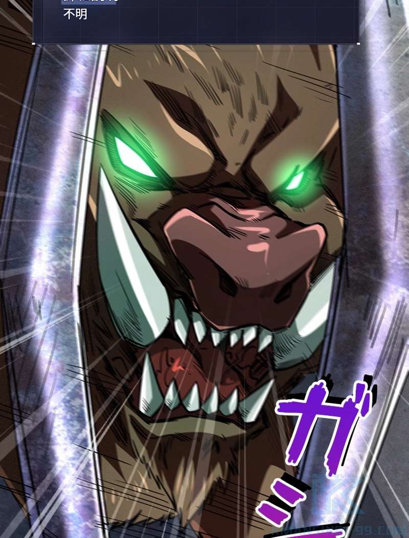 P55