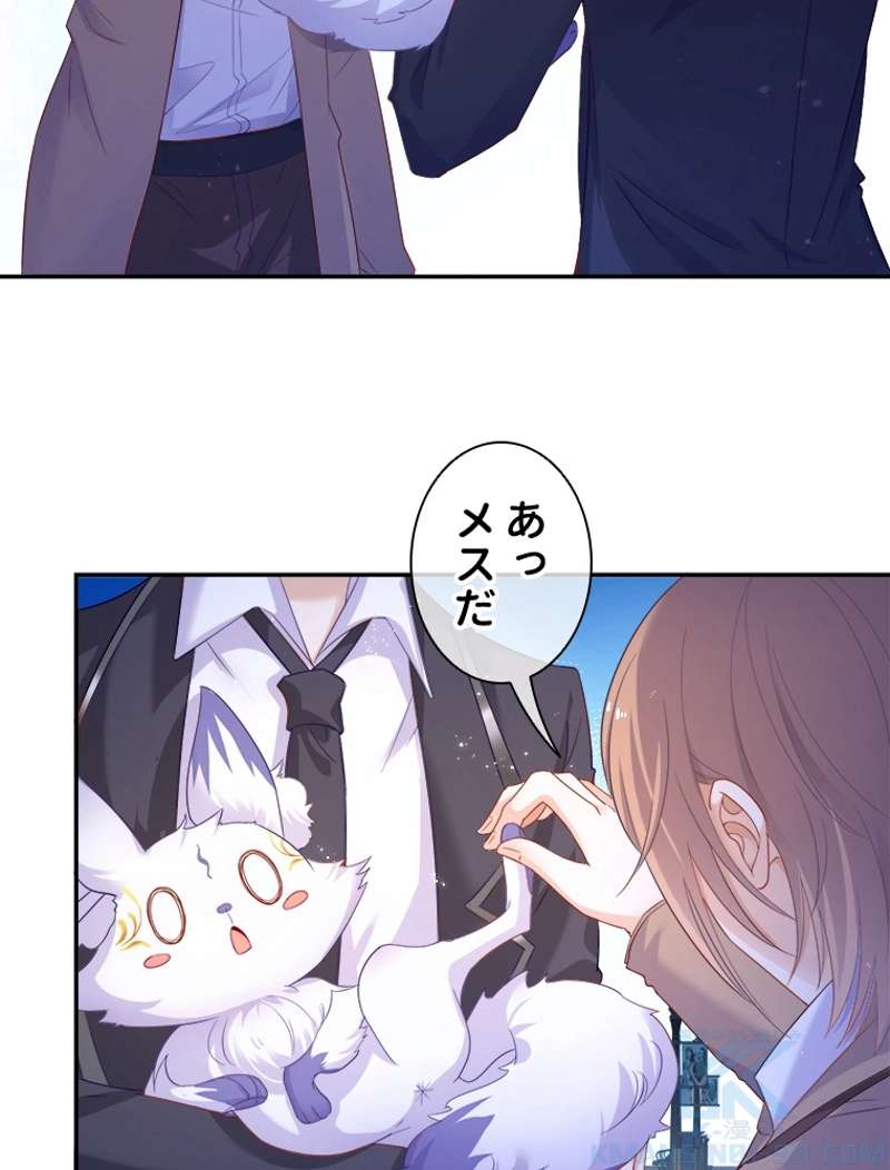 P41