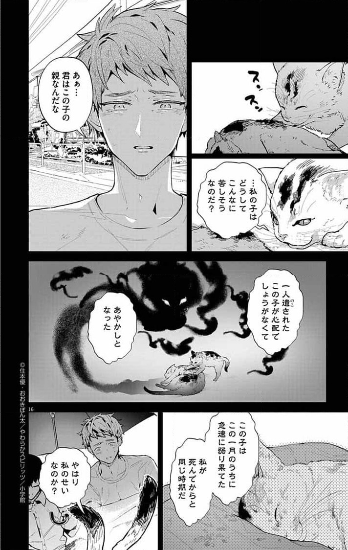 P16