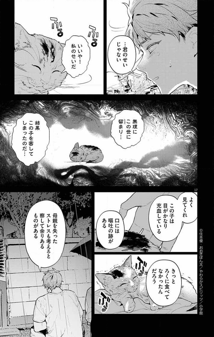 P17