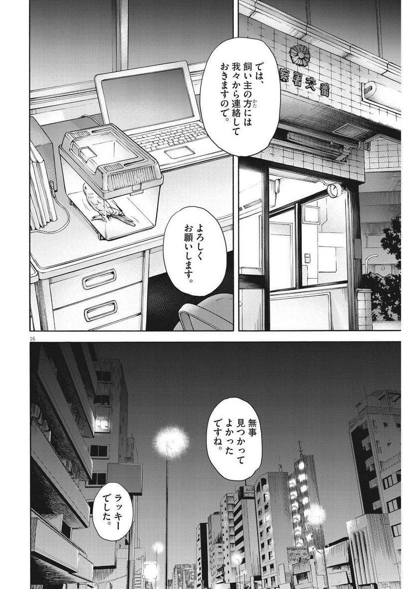 P16