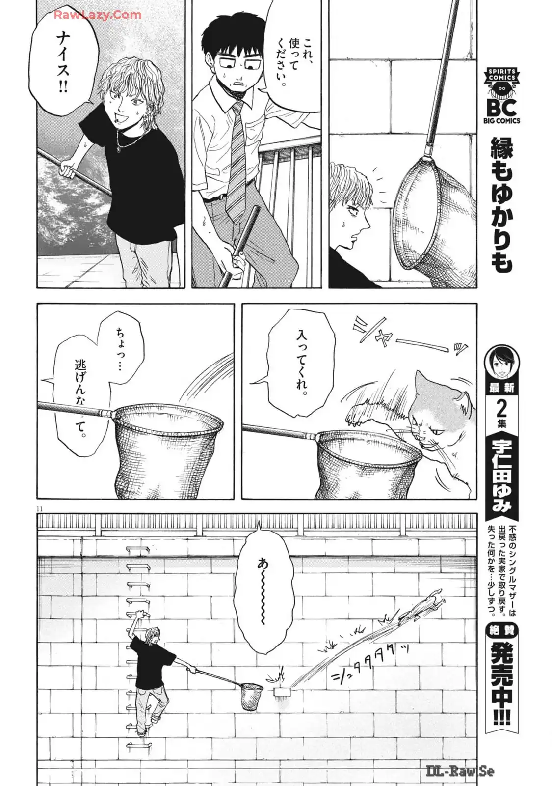 P11