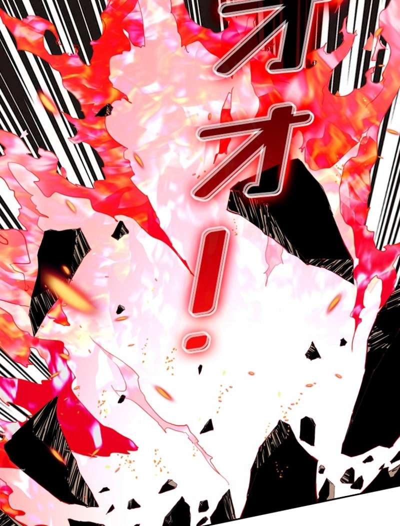 P66