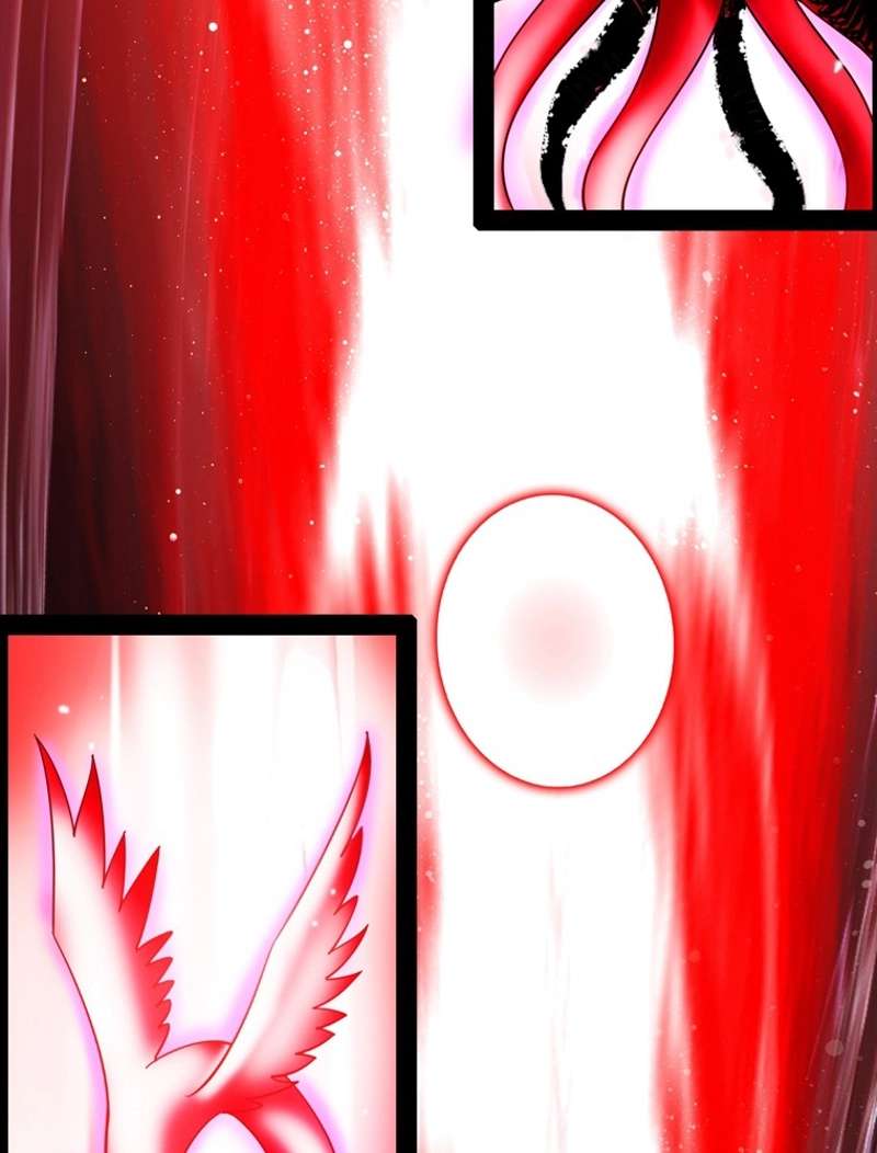 P63