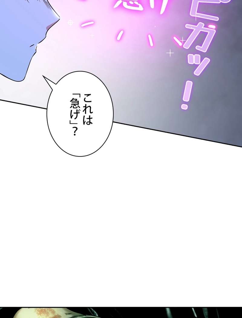 P65