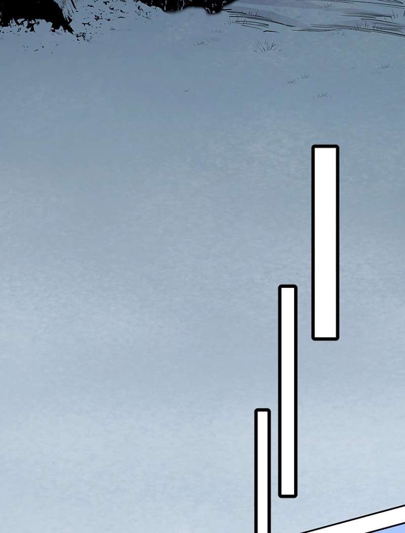 P66