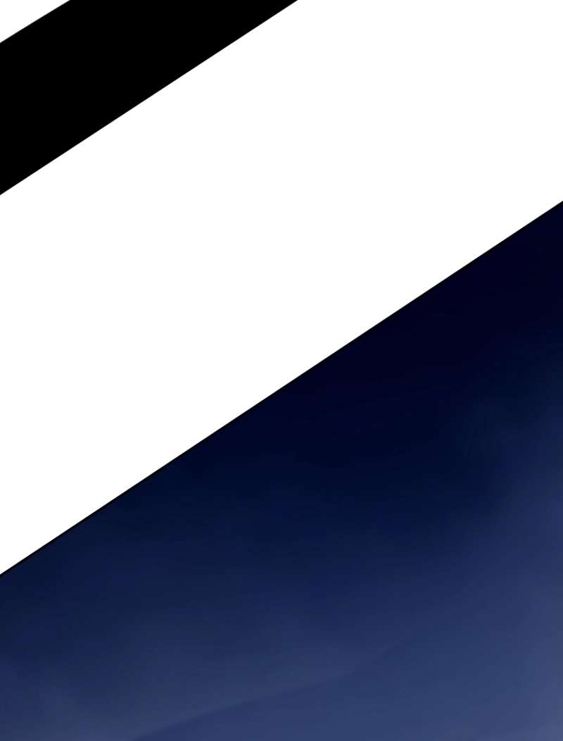 P81
