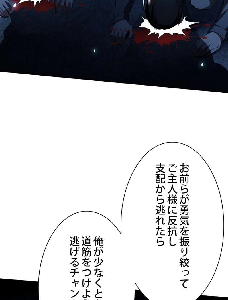 P53