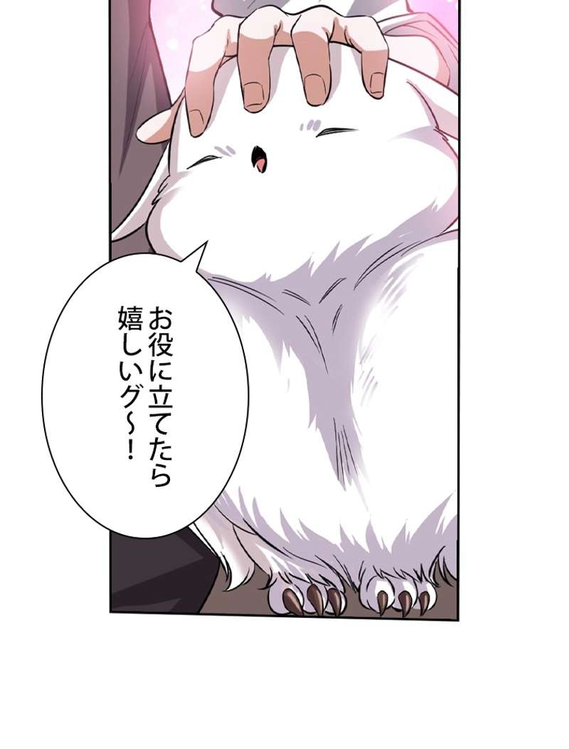 P66
