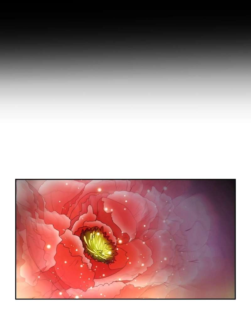 P65