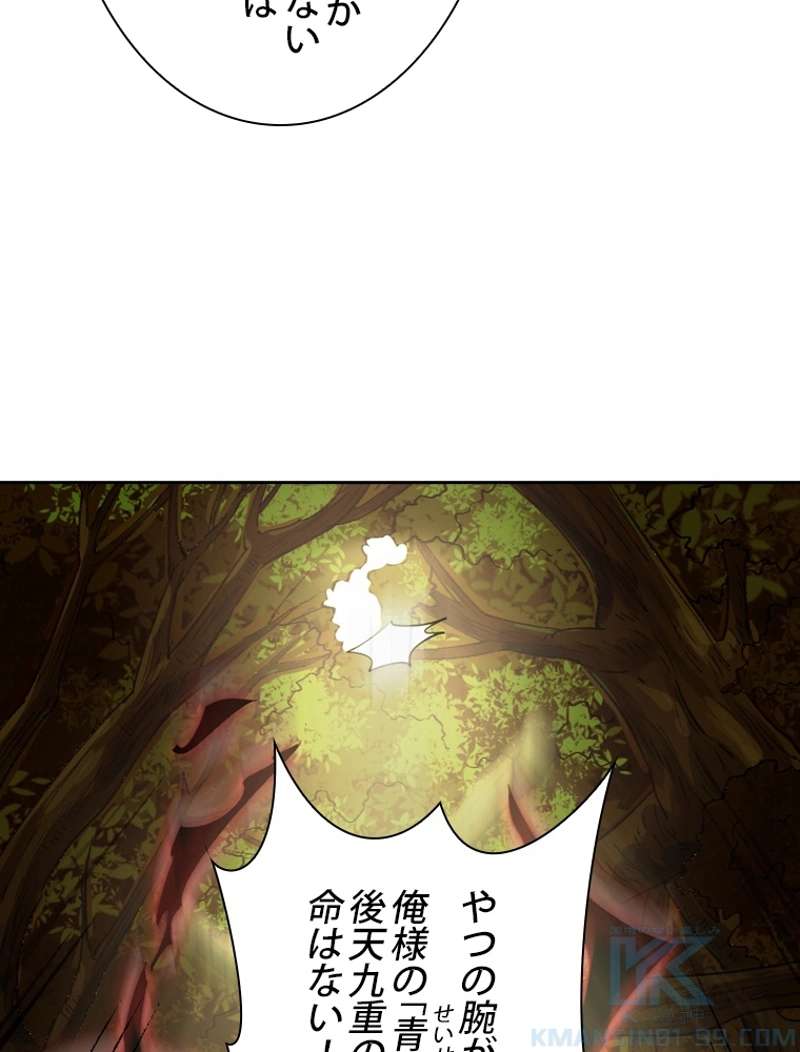 P58