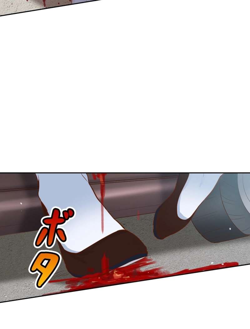 P53