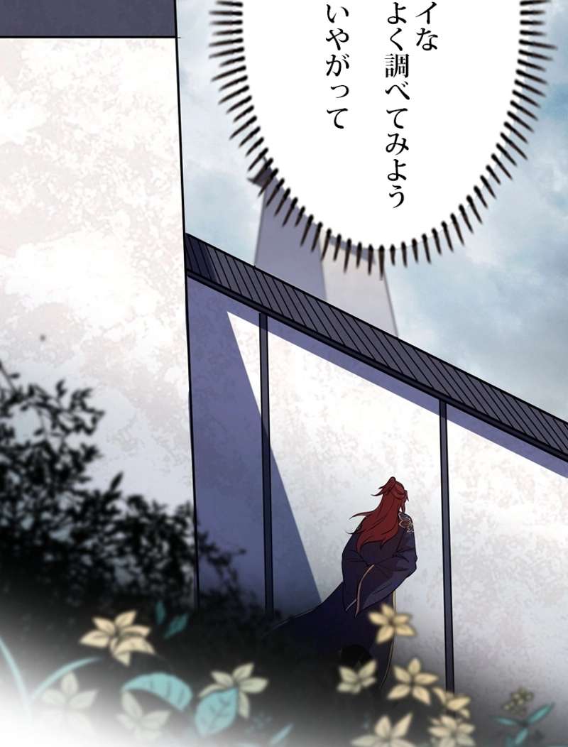 P53