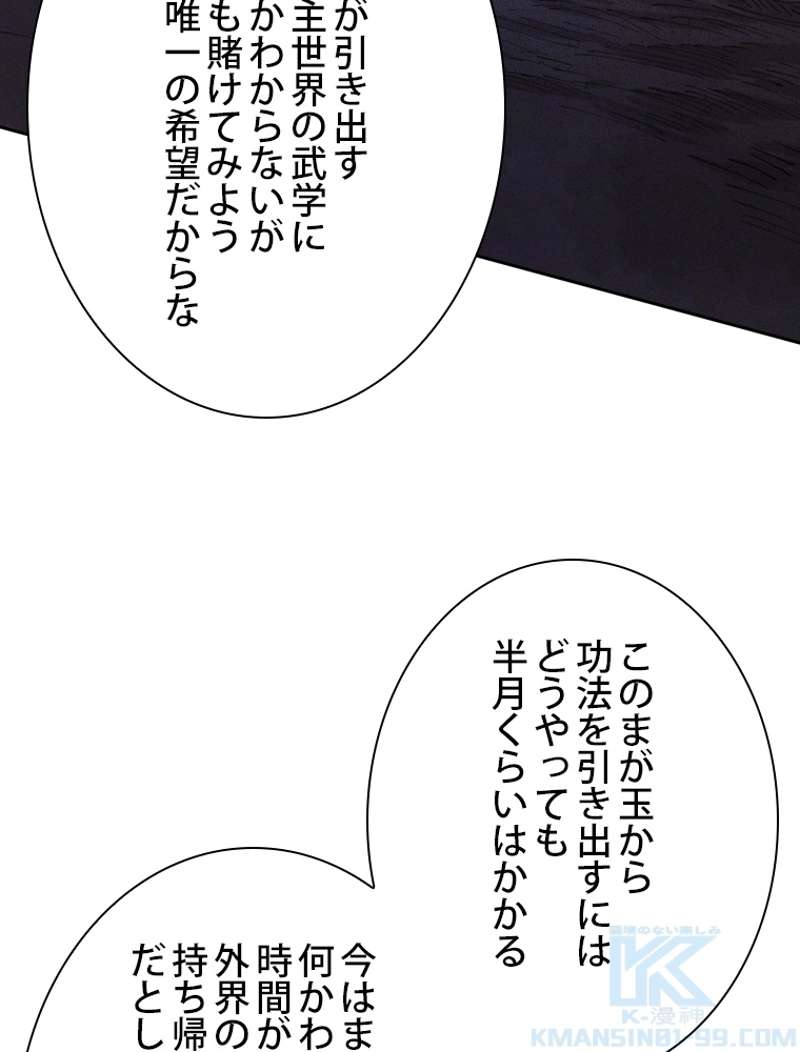 P58