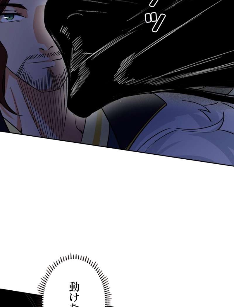 P53