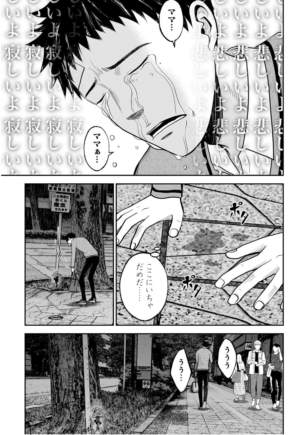 P29