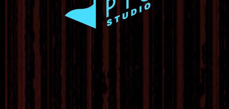 P101