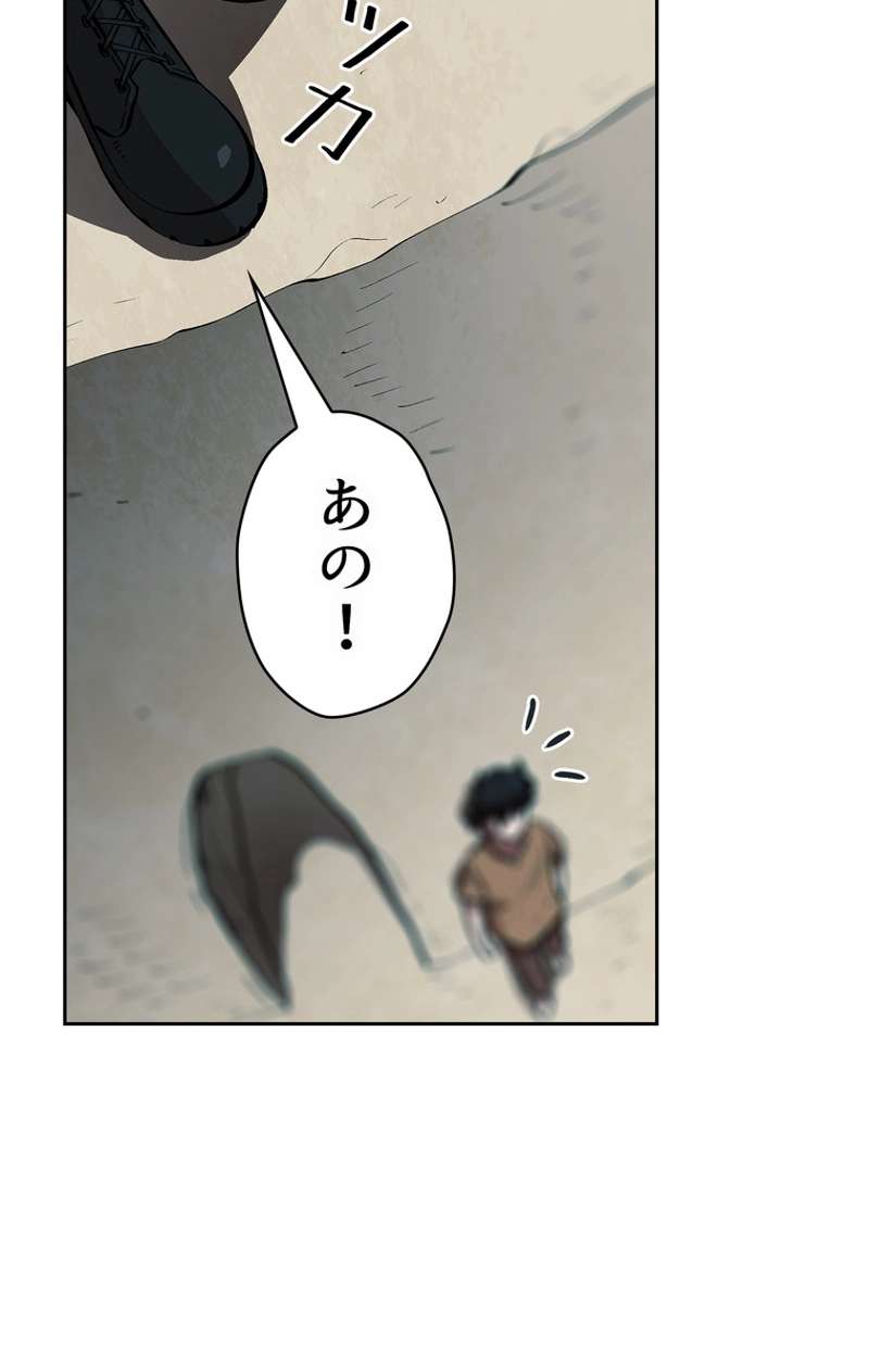 P61