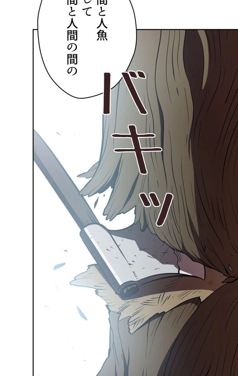 P58