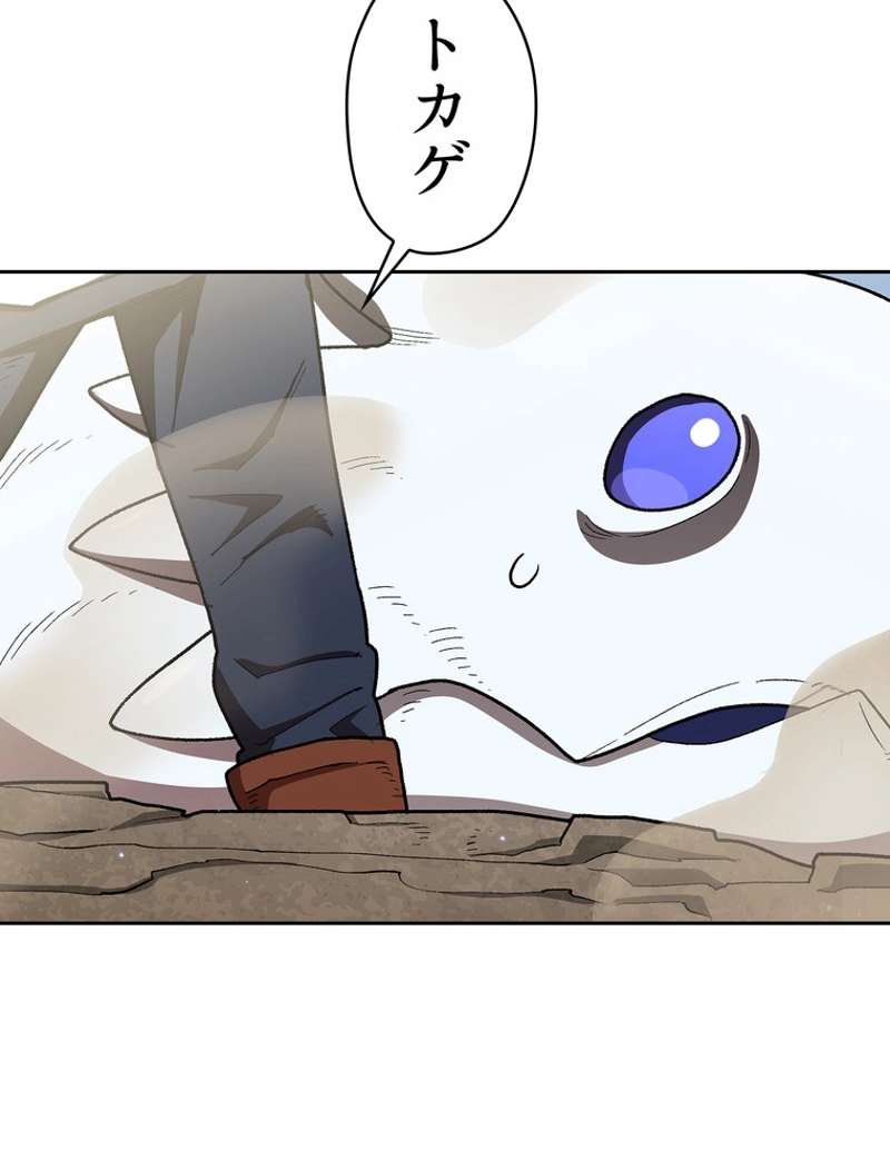 P97