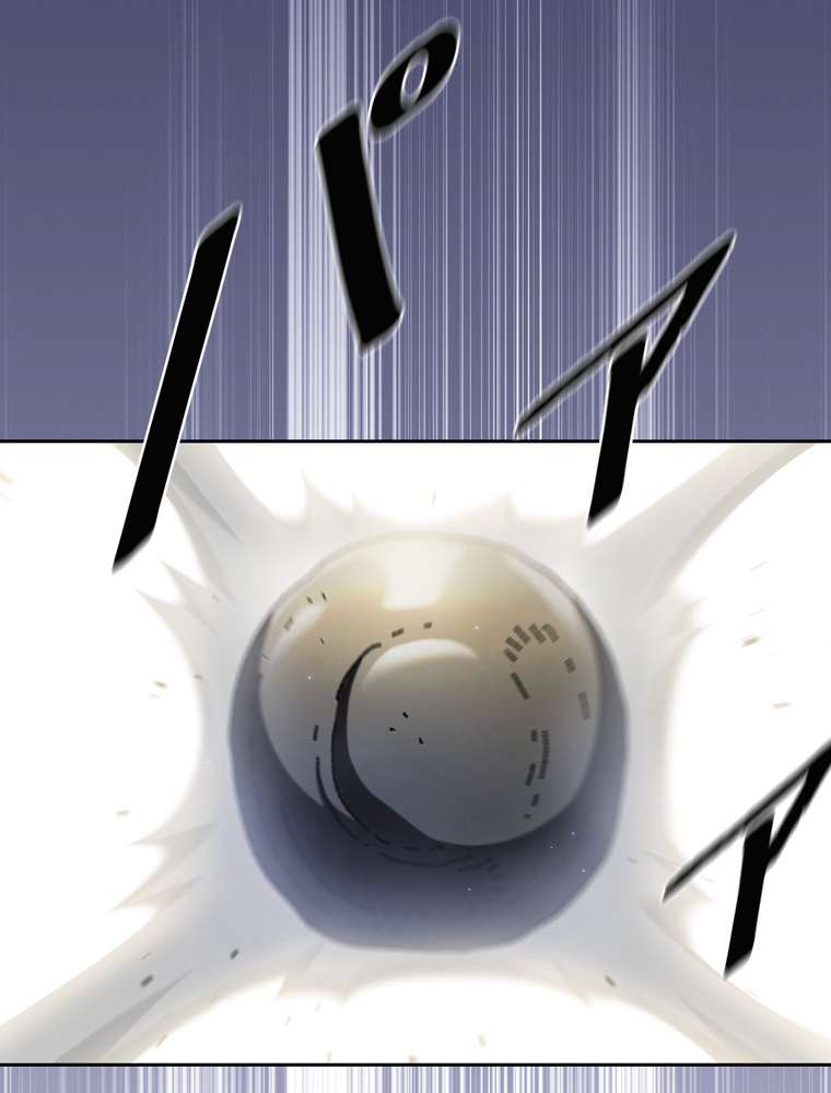 P66