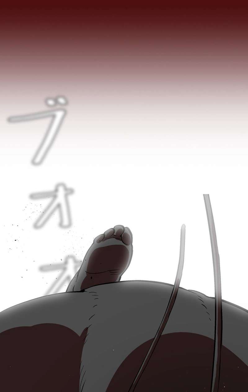 P46
