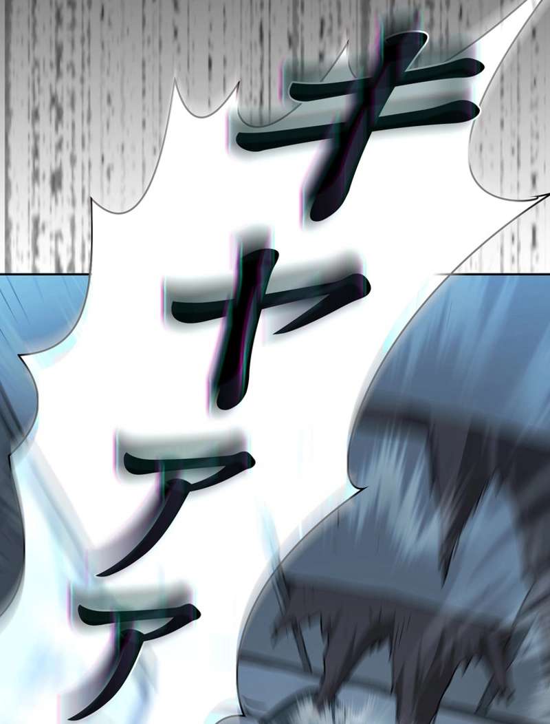 P66