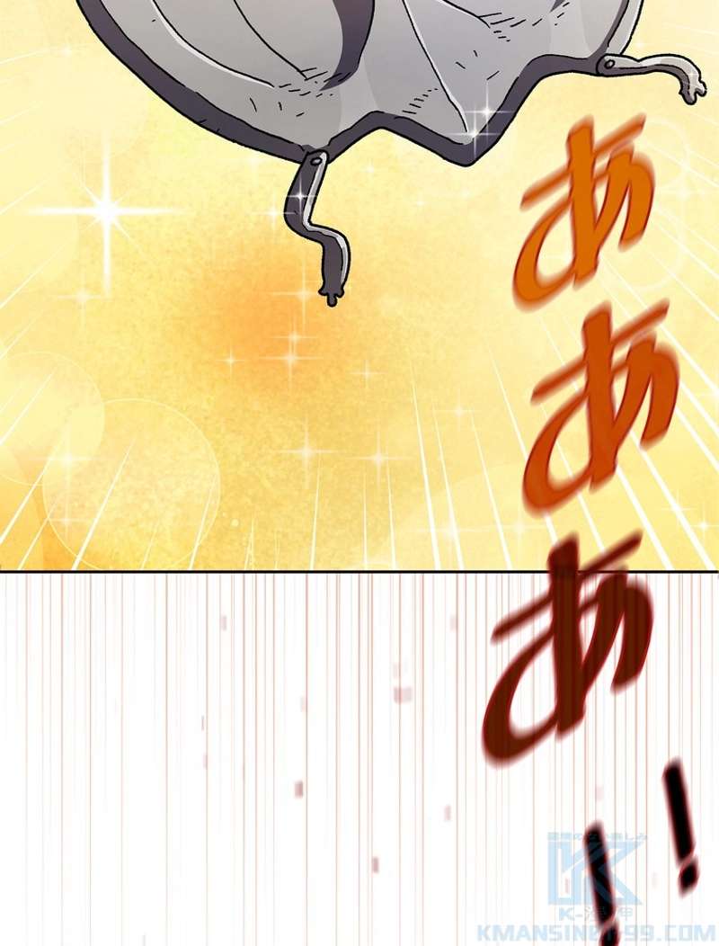 P91
