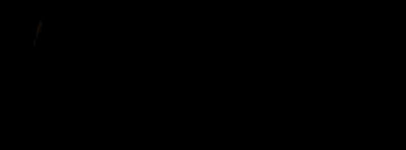 P103