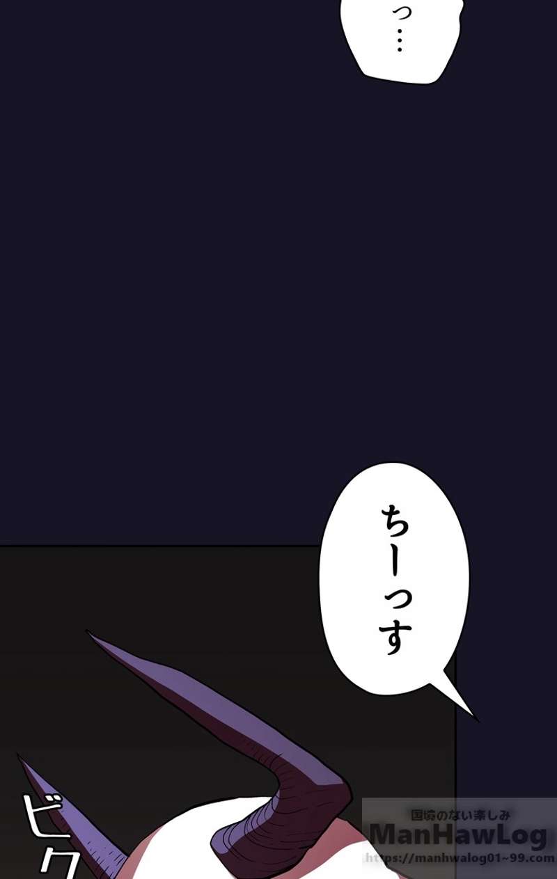 P61