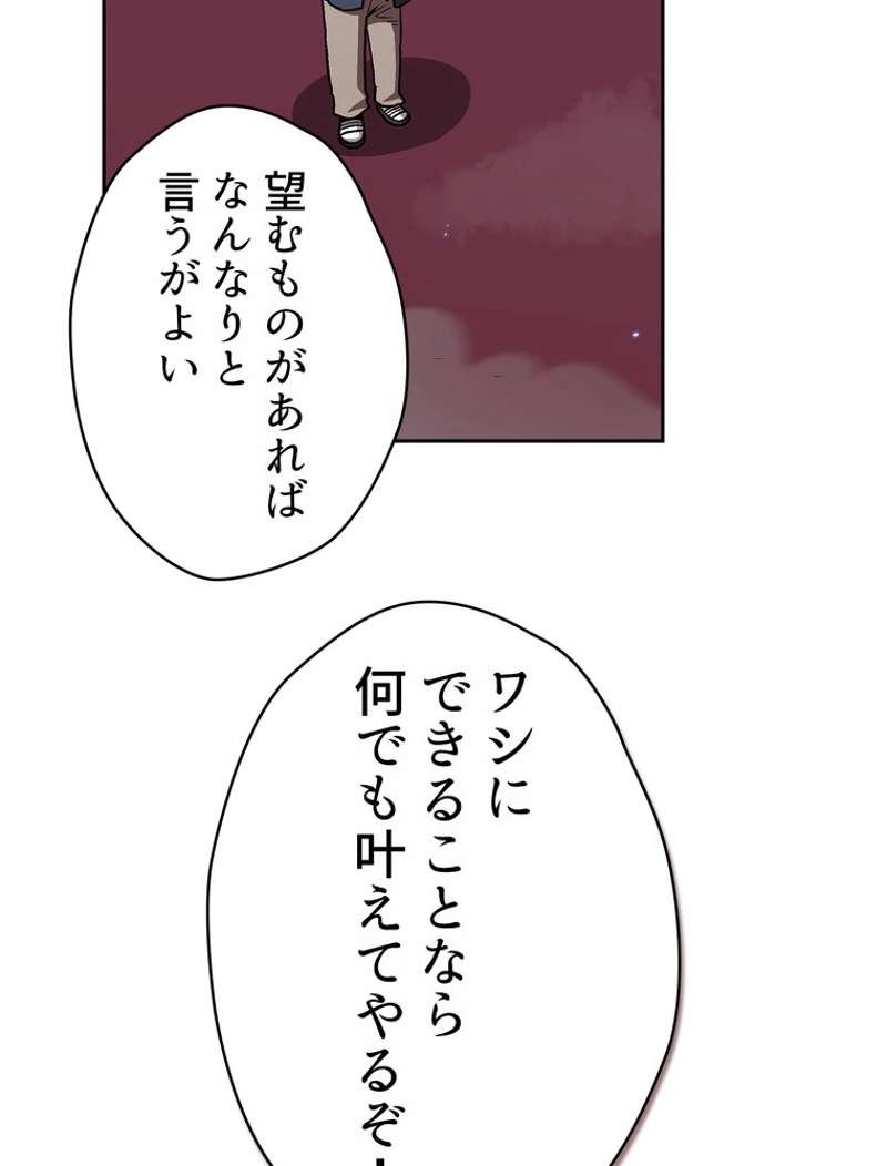 P63