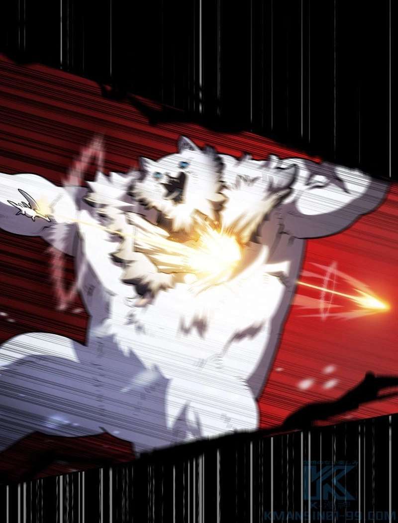 P53