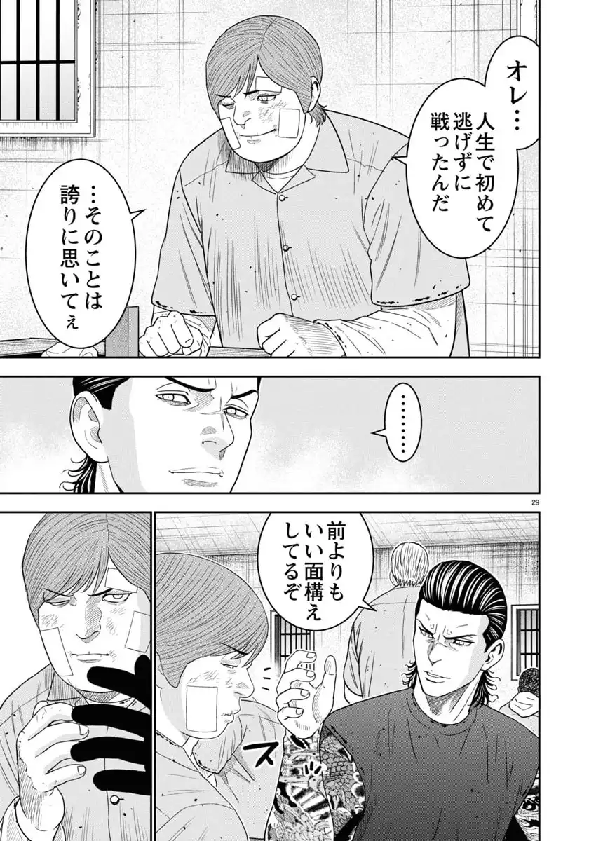 P29