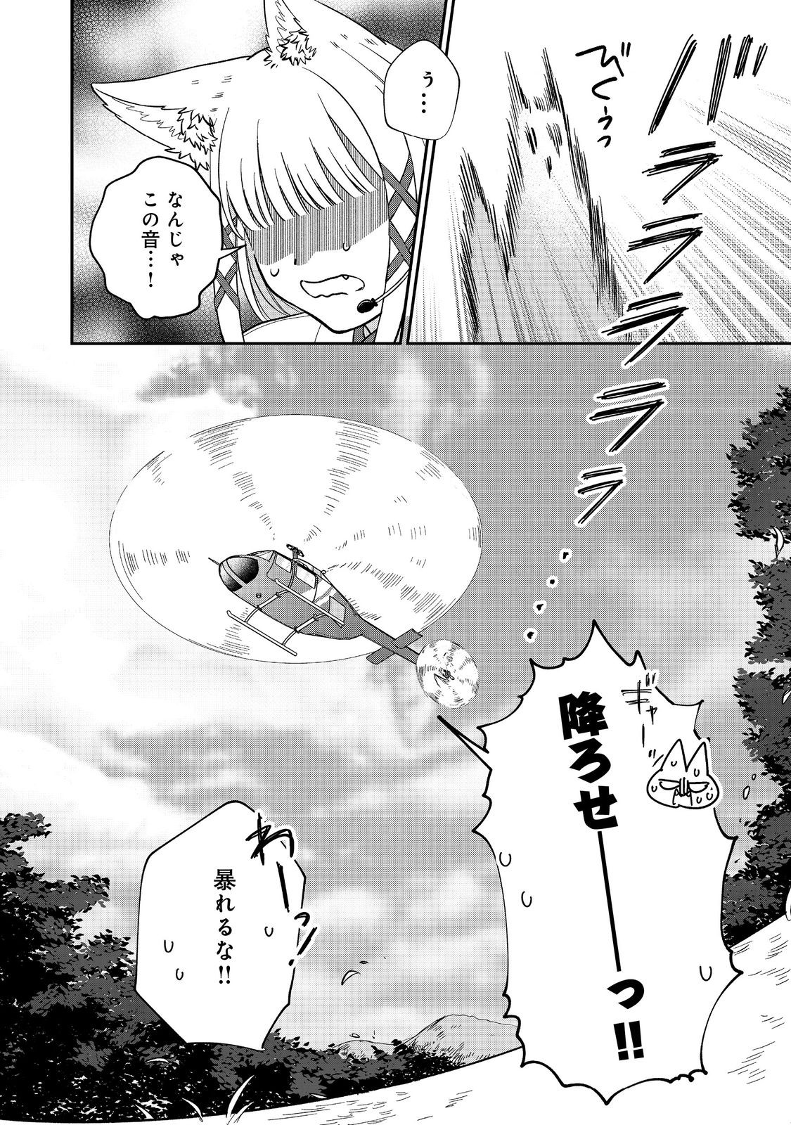 P46