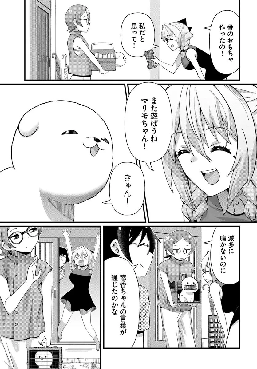 P23