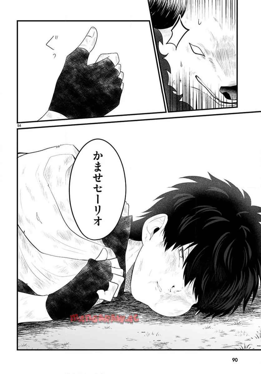 P58