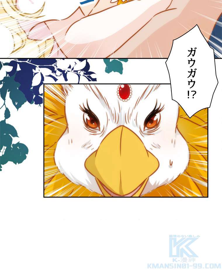 P58