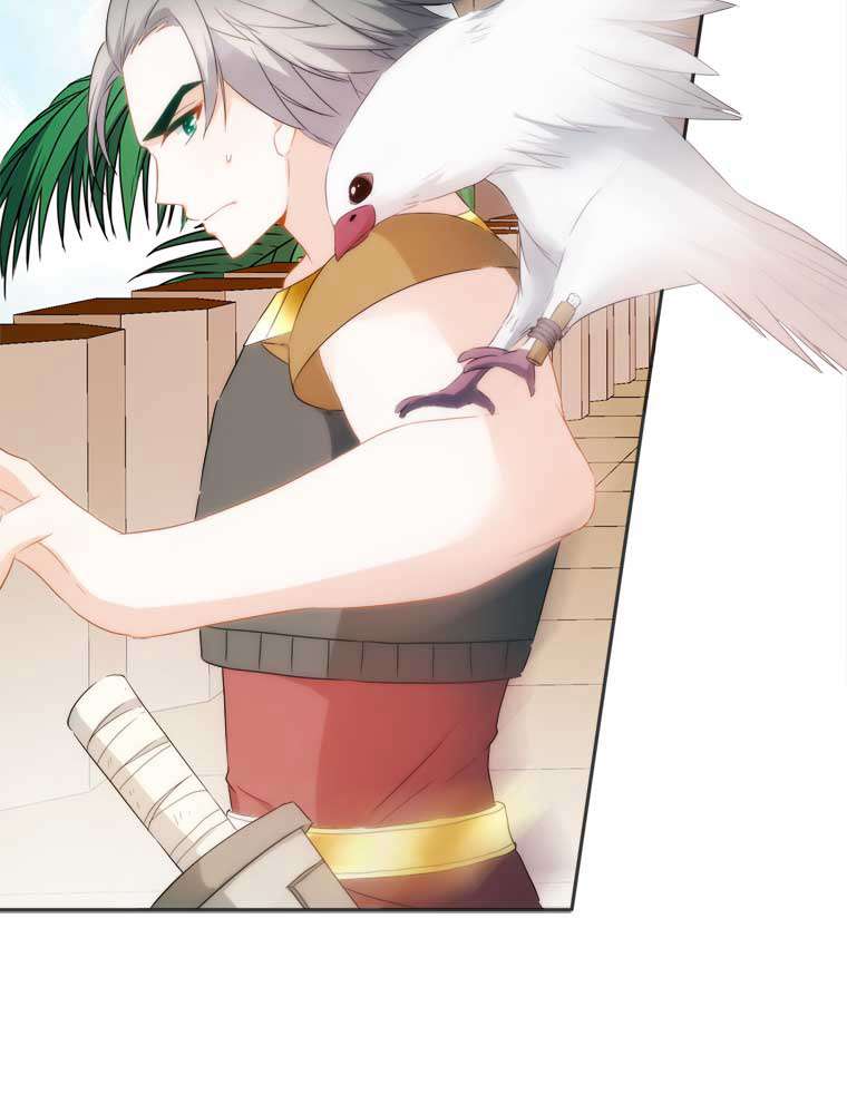 P41