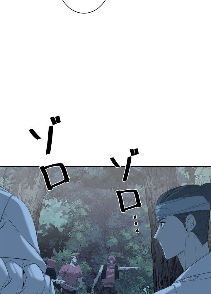 P66