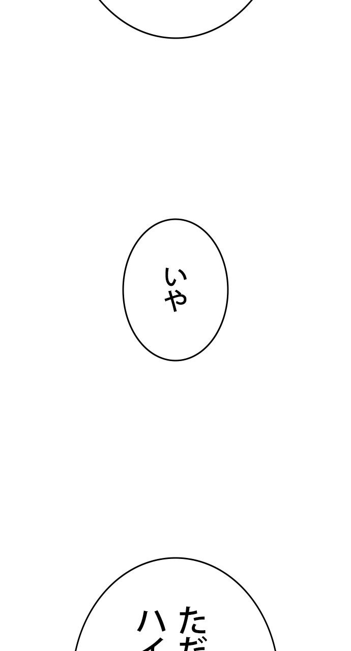 P53