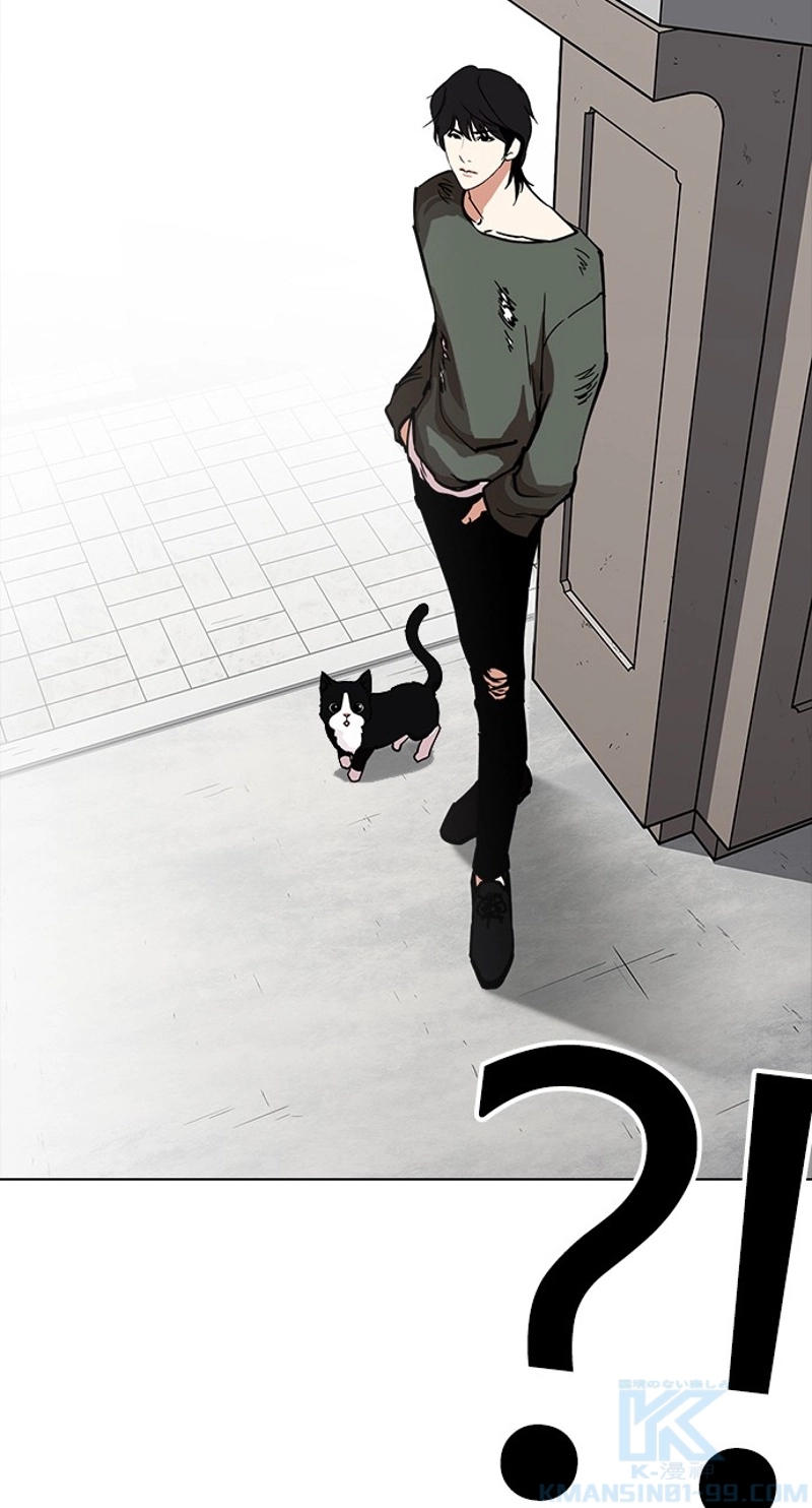 P61