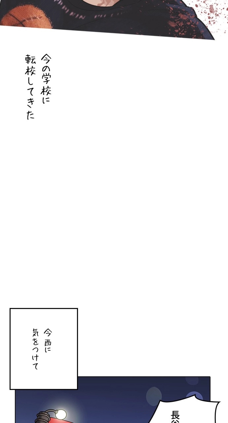 P63