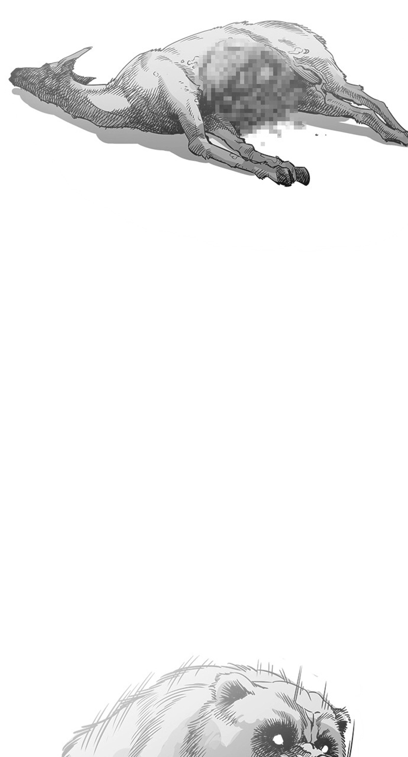 P24