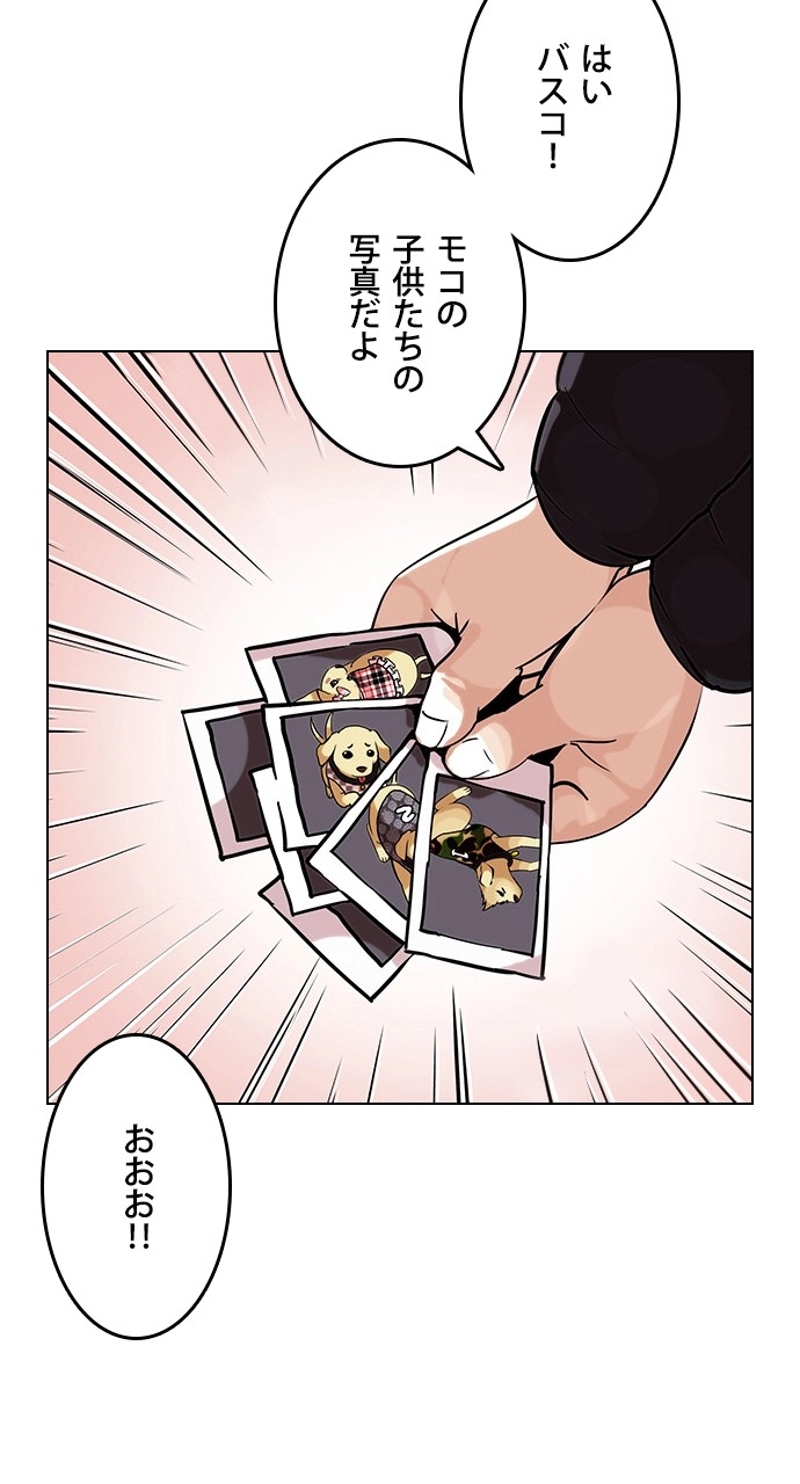 P44