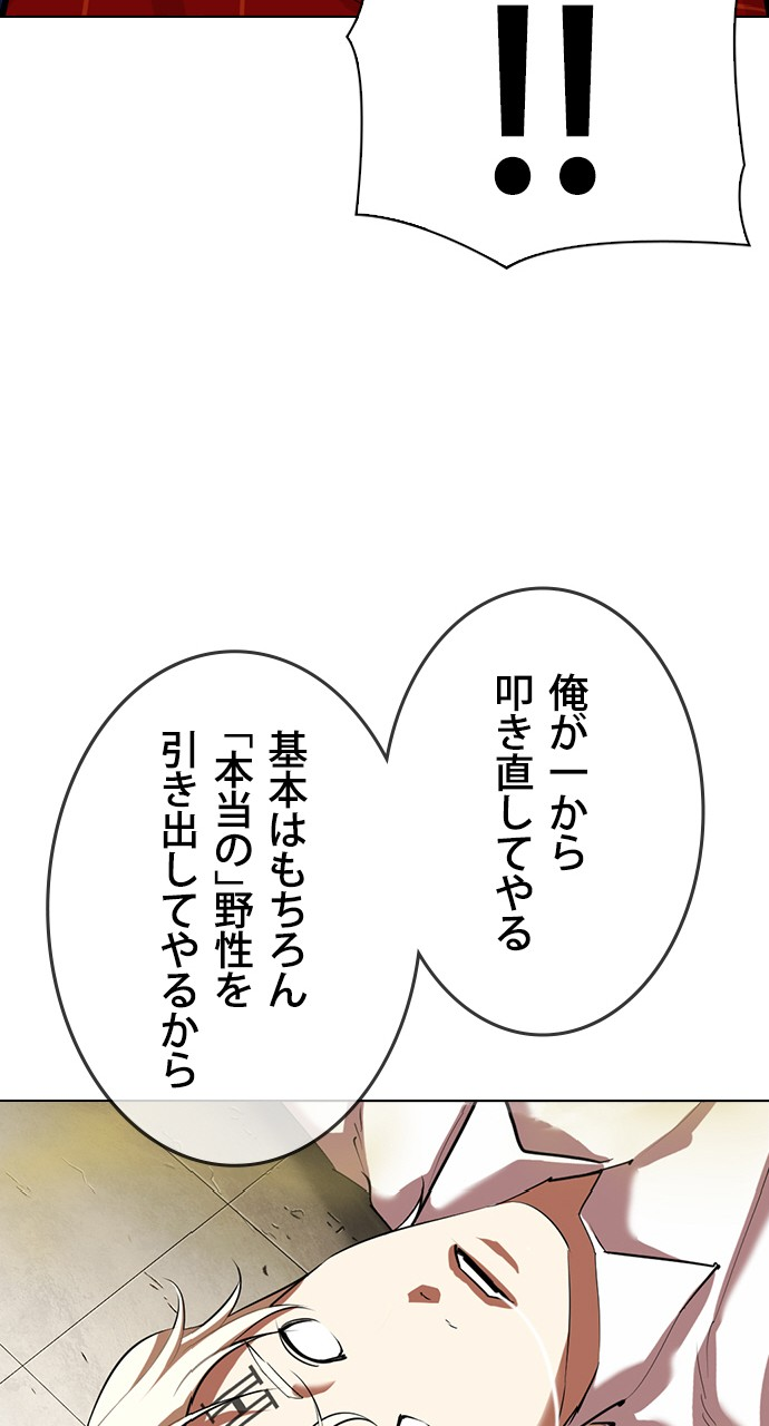 P53