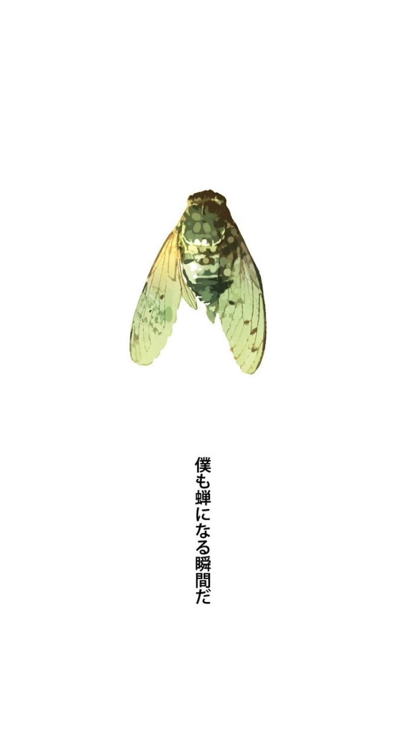 P46