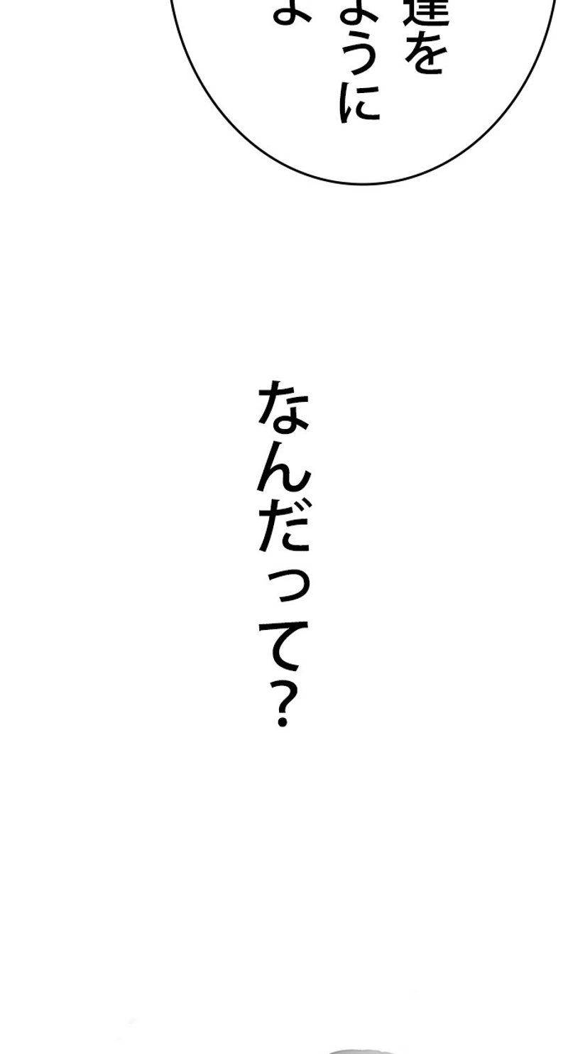 P63