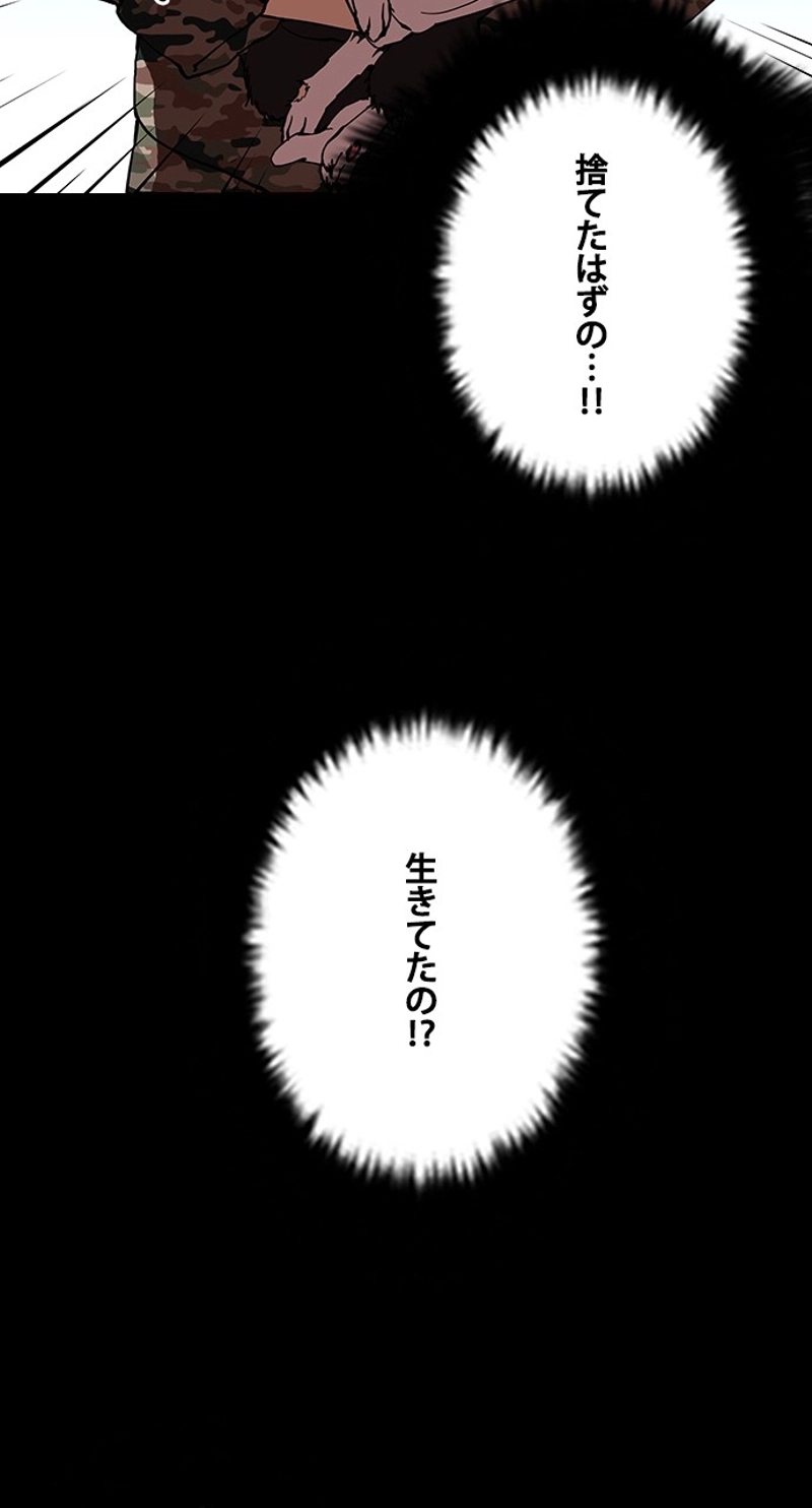 P53
